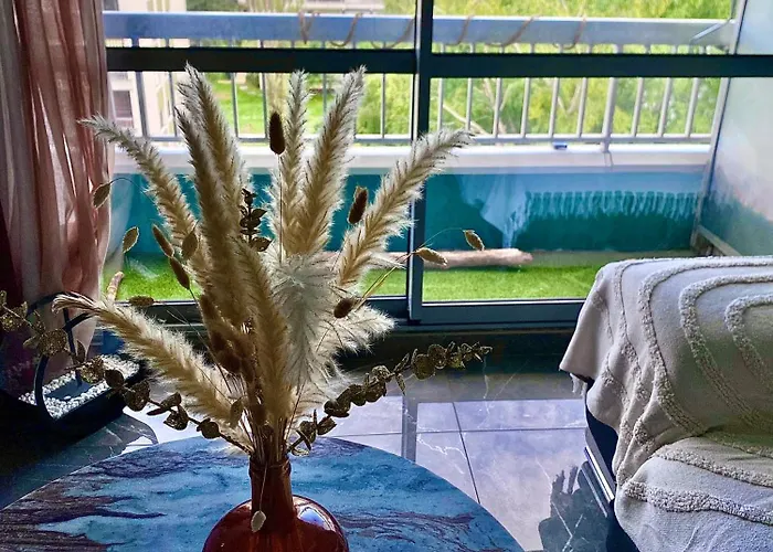 Apartment L'elegant Cosy Cournon-d'Auvergne